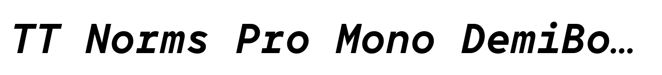 TT Norms Pro Mono DemiBold Italic